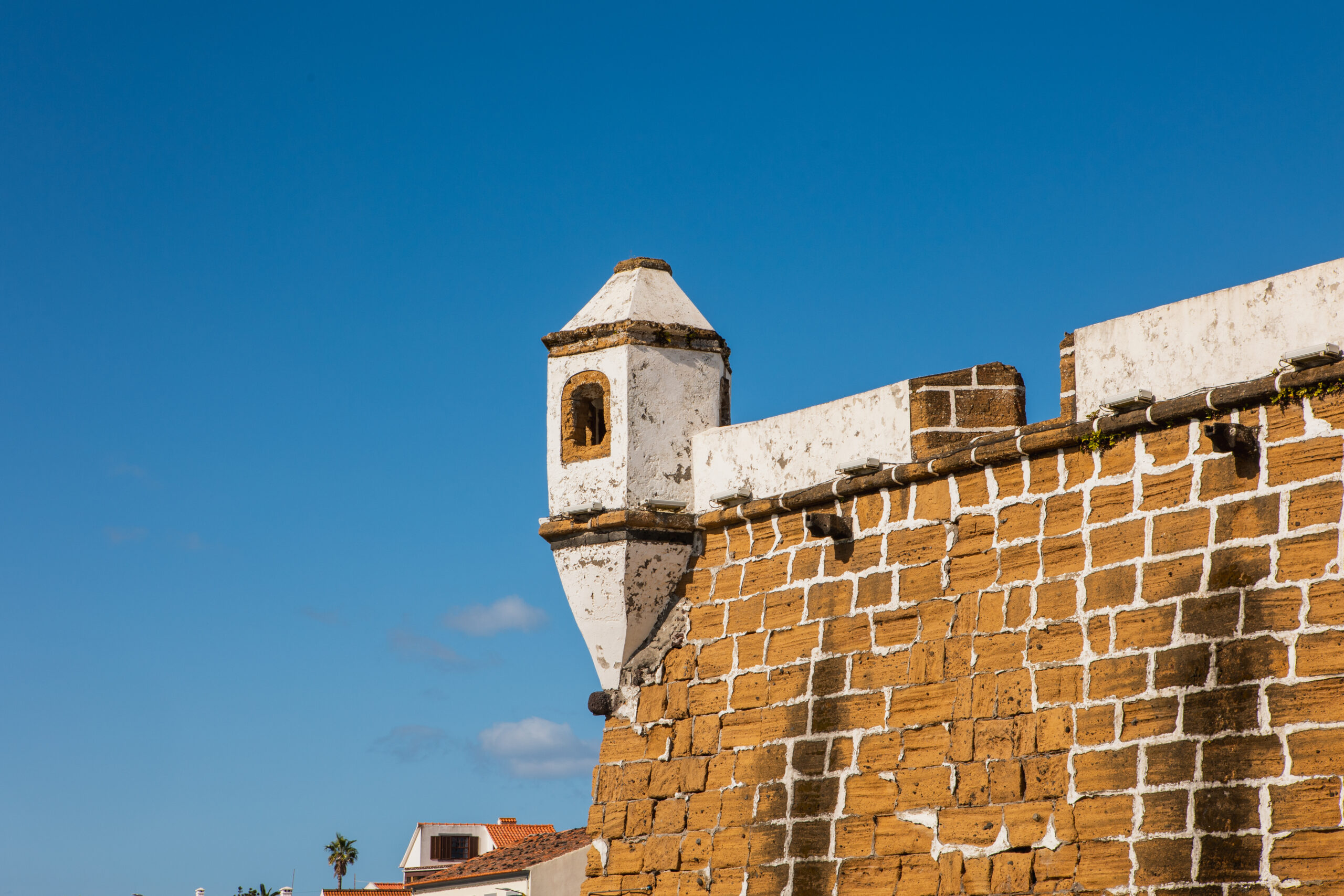 FORTE DO PORTO PIM_8